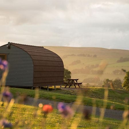 Вилла Wild Northumberland Glamping Хексем Экстерьер фото