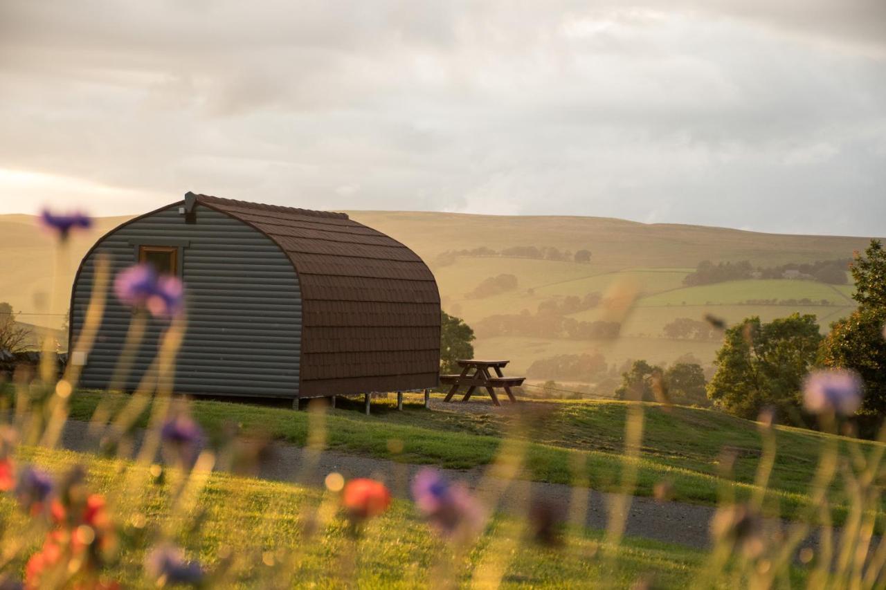 Вилла Wild Northumberland Glamping Хексем Экстерьер фото