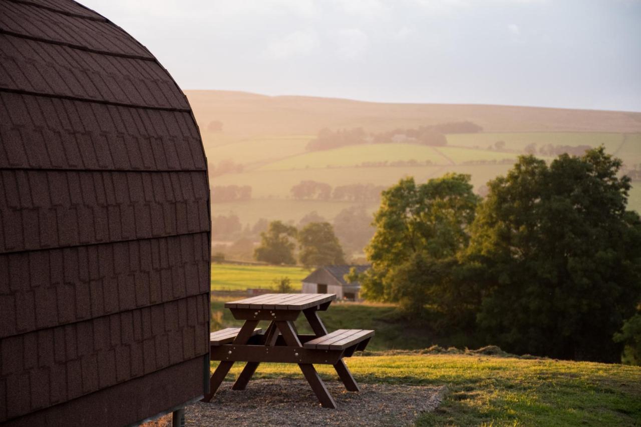 Вилла Wild Northumberland Glamping Хексем Экстерьер фото