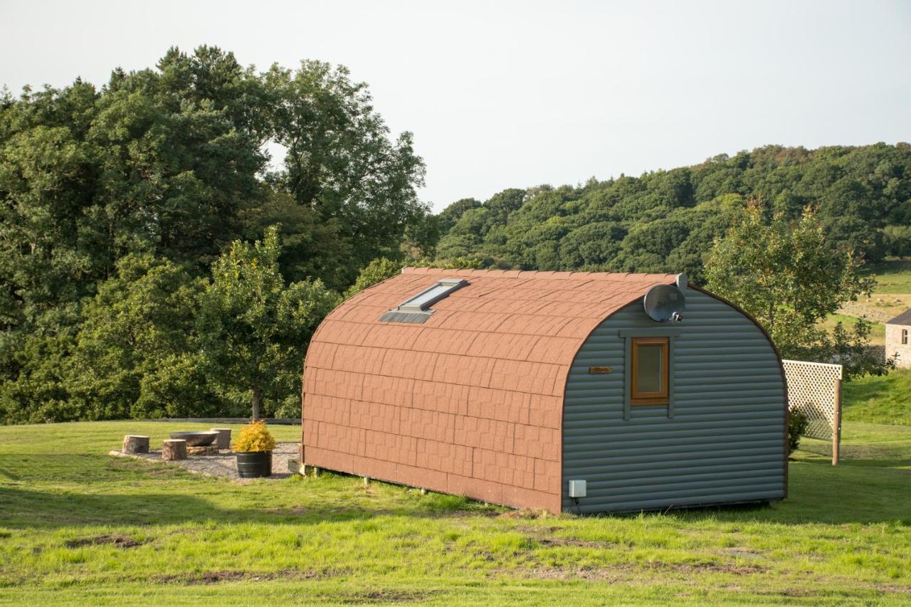 Вилла Wild Northumberland Glamping Хексем Экстерьер фото