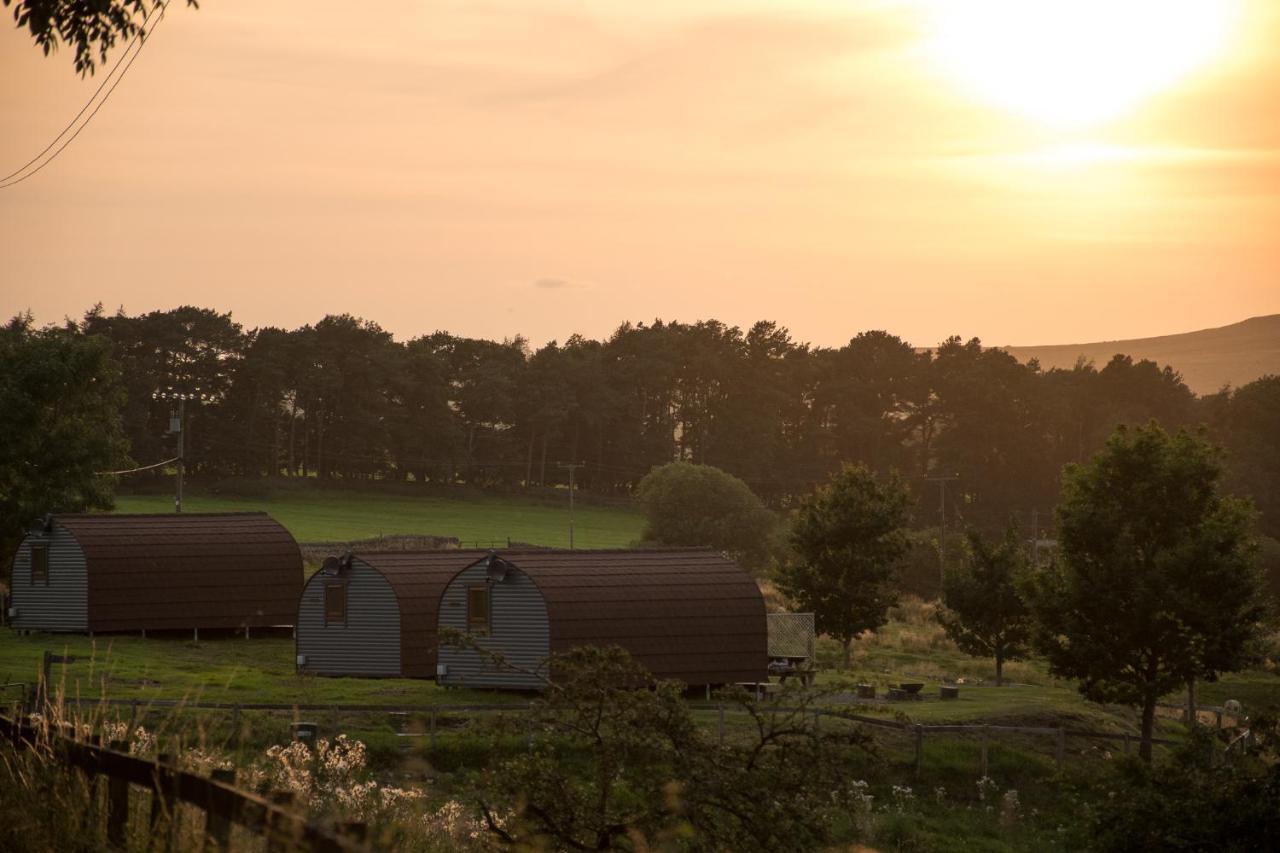 Вилла Wild Northumberland Glamping Хексем Экстерьер фото